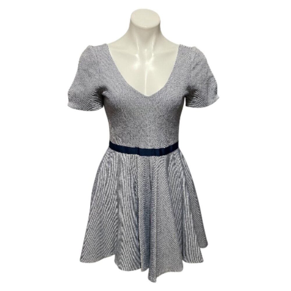Z by Zac Posen Blue White Striped Plunge Neck Capped Sleeve Fit & Flare Dress